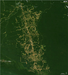 Mapa

El contenido generado por IA puede ser incorrecto.